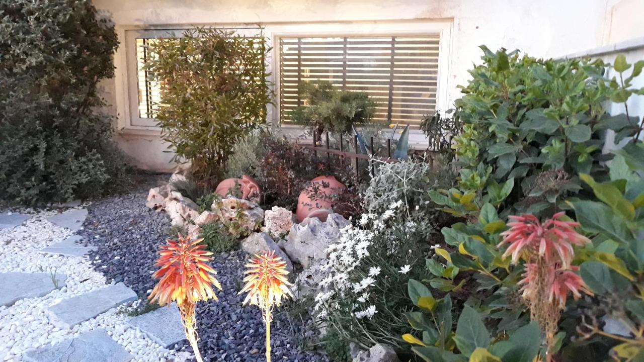 Amazing Semi-Basement Art Apartment Easy Walk To Nafplio Centre Exteriör bild